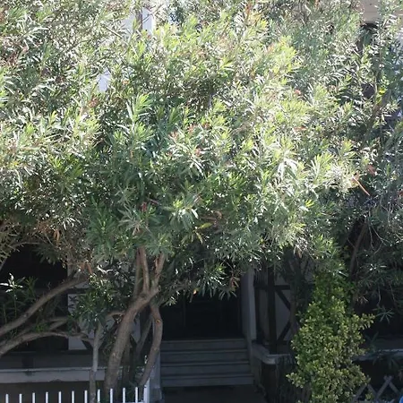 Apartment Entire Traditional At The Sea Nea Plagia