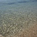 Entire Traditional At The Sea 아파트 네아 플라기아