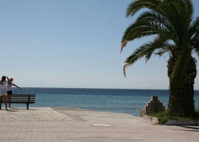 Entire Traditional At The Sea