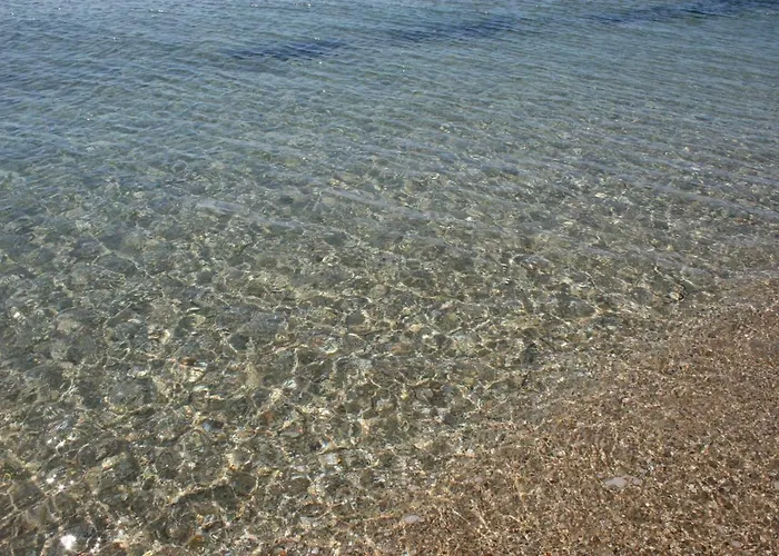 Entire Traditional At The Sea Διαμέρισμα Νέα Πλάγια