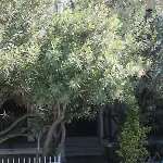 公寓 Entire Traditional At The Sea 尼亚普拉加